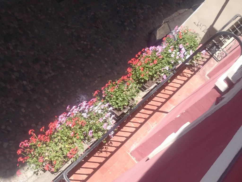 Hostal El Centro ウエスカ エクステリア 写真